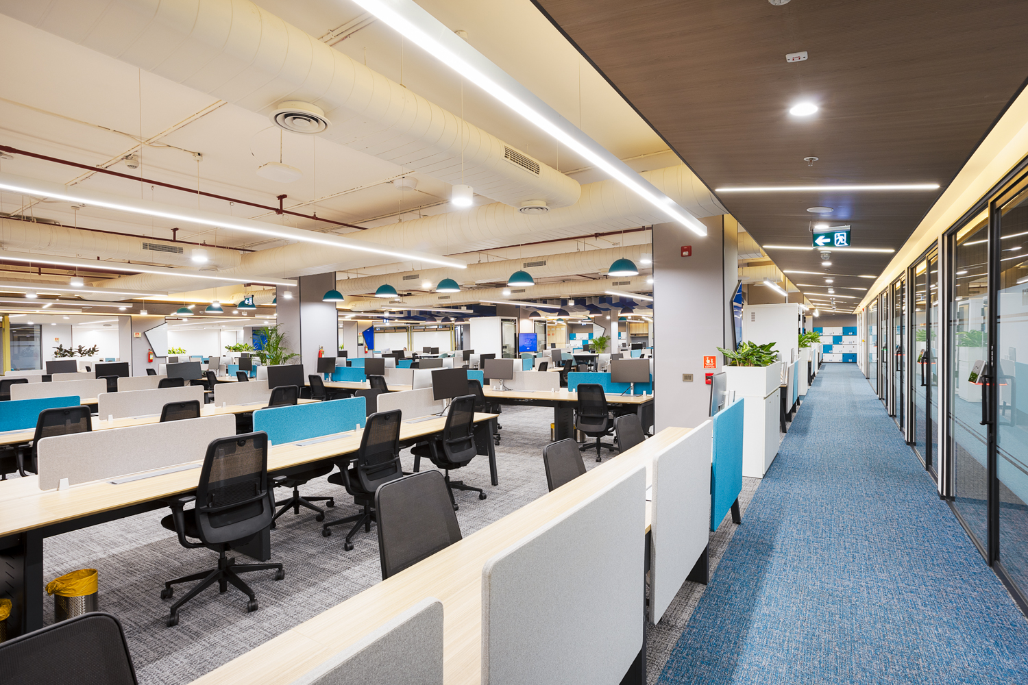 Alvarez and Marsal Phase 2